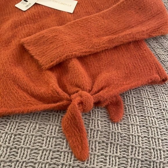 NWT Cropped Turtle Neck Sweater - Picture 4 of 4